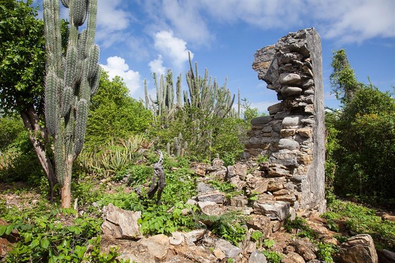 Der Christoffelpark auf Curaçao