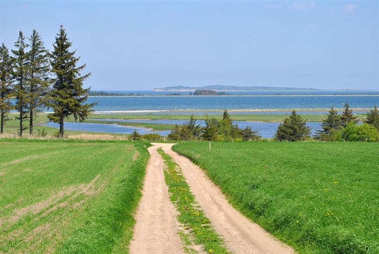 Die Insel Fur, Dänemark