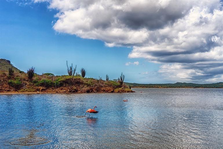 Der Goto-See, Bonaire