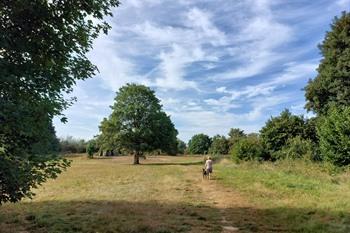Das Malakoff-Gelände in Lembeek, Pajottenland