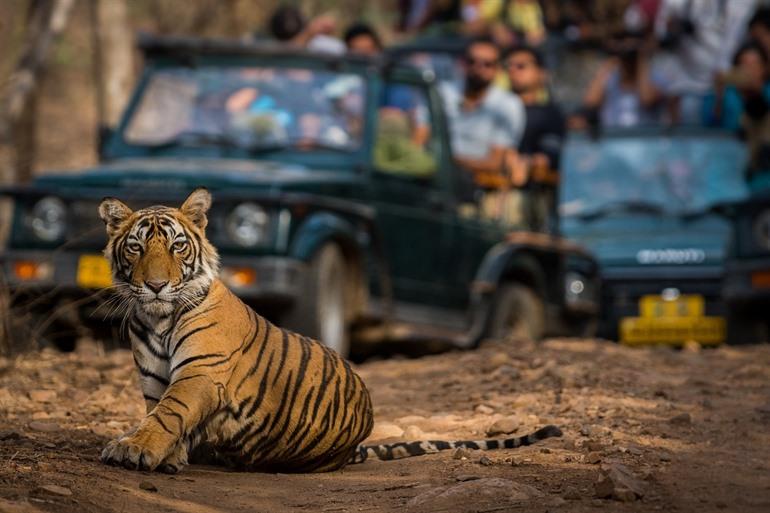 Der Ranthambore-Nationalpark