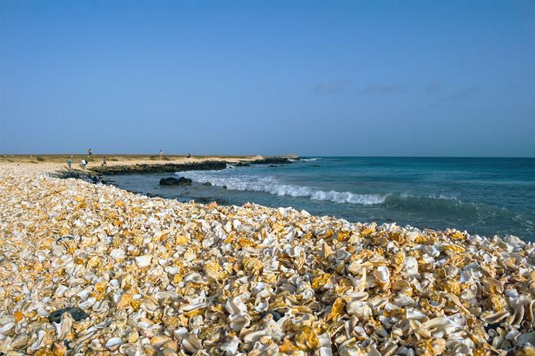 Der Muschelfriedhof auf der Insel Sal