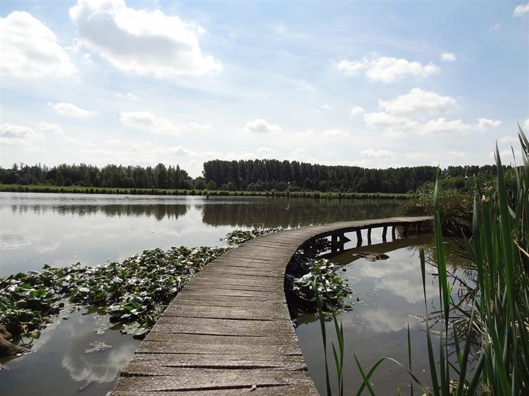 Das Vinne in Zoutleeuw