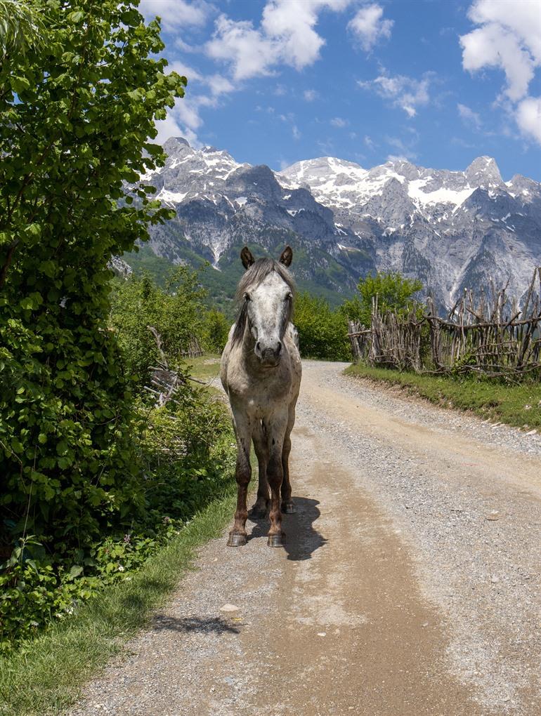 Wanderung von Theth nach Valbona durch die Albanischen Alpen