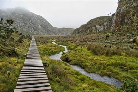 Wandern im Rwenzori-Gebirgs-Nationalpark