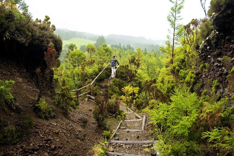 Wandern im Naturschutzgebiet Serrata auf Terceira