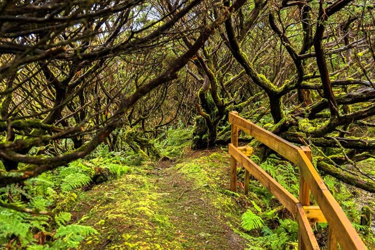 Wandern im Naturschutzgebiet Serrata auf Terceira