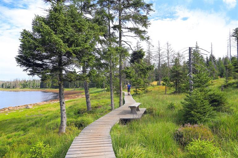Wandern rund um die Oderteich-Talsperre im Harz