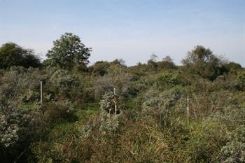 Hoge Blekker Dünenwanderung