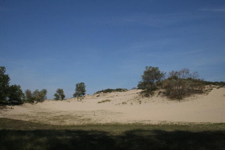 Hoge Blekker Dünenwanderung