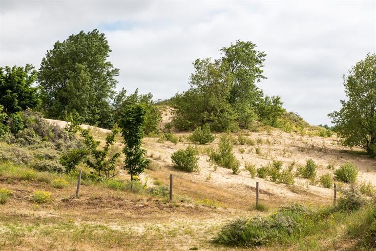 Hoge Blekker Dünenwanderung