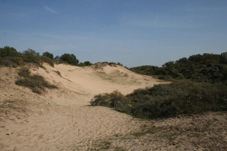 Hoge Blekker Dünenwanderung
