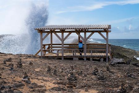 Besuchen Sie den Shete Boka Nationalpark auf Curaçao: alle Infos & Tipps
