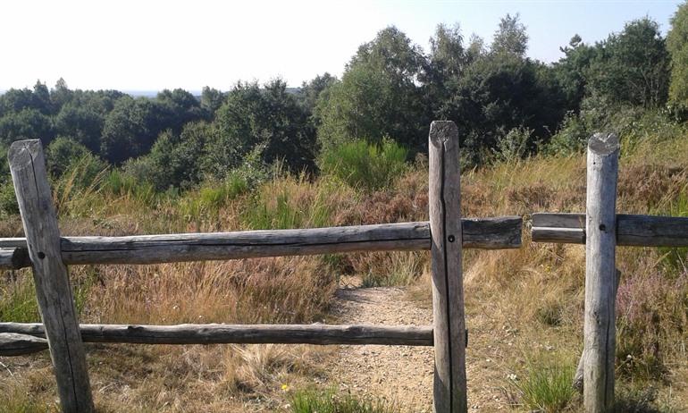 Hoge Kempen Mechelse Heide