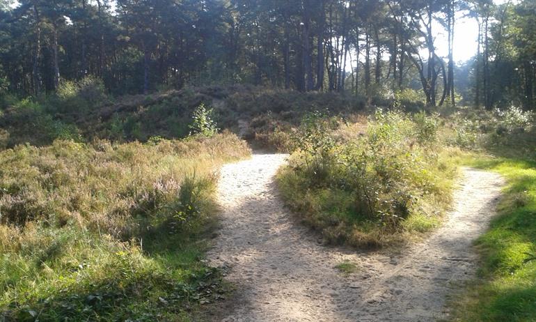 Hoge Kempen Mechelse Heide