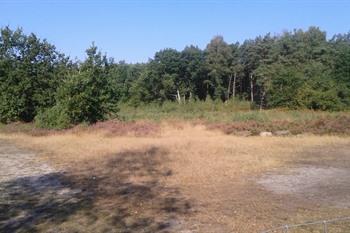 Hoge Kempen Mechelse Heide