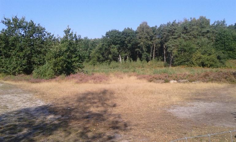 Hoge Kempen Mechelse Heide