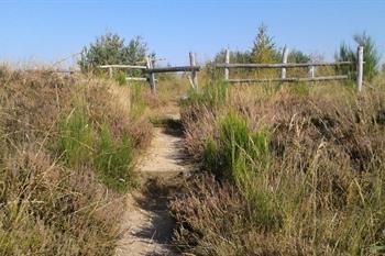 Hoge Kempen Mechelse Heide