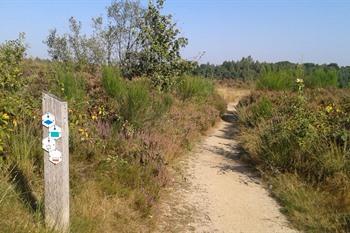 Hoge Kempen Mechelse Heide