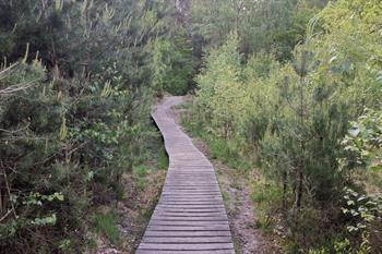 Hoge Kempen Mechelse Heide