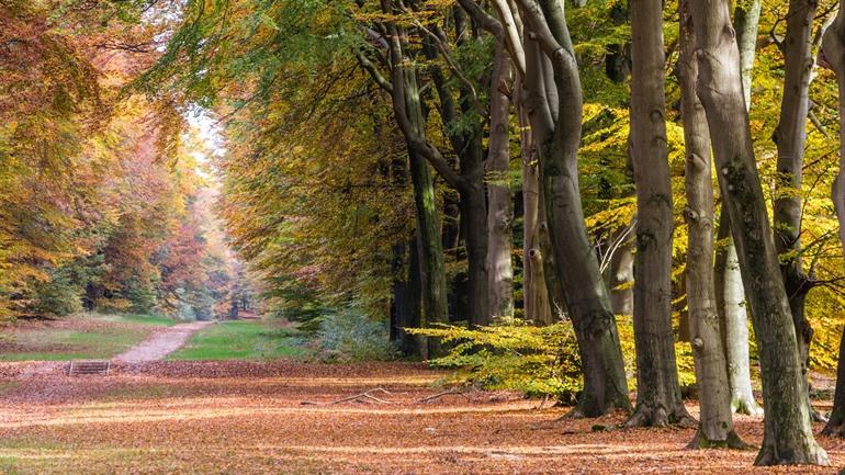 Hoge Veluwe, Gelderland