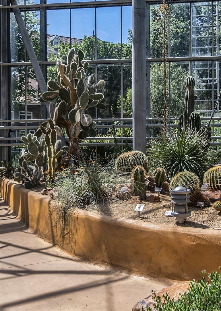 Hortus Botanicus Amsterdam besichtigen