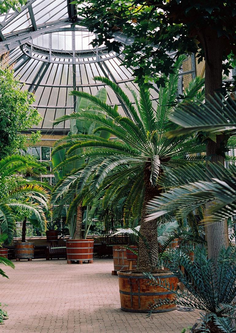 Hortus Botanicus Amsterdam besichtigen