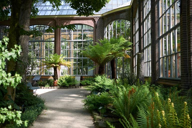Hortus Botanicus Amsterdam besichtigen