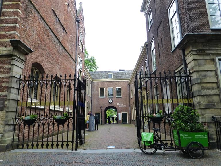 Den Hortus Botanicus in Leiden besuchen