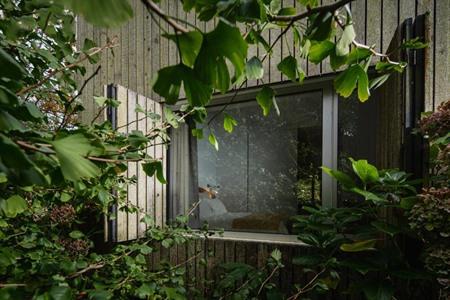 Houten Bungalow im Sete Cidades Lake Lodge buchen