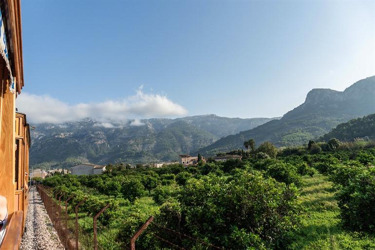 Holtram zwischen Sóller und Port de Sóller