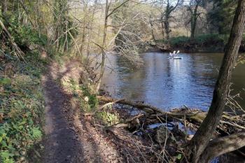 Wanderweg Houyet