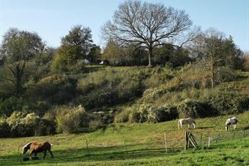 Wanderweg Houyet