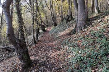 Wanderweg Houyet