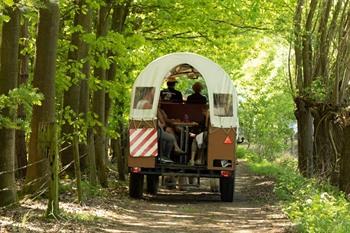 Kutschfahrt Weg von Wetteren