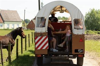 Kutschfahrt Weg von Wetteren