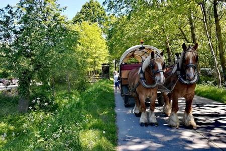 Kutschfahrt abseits von Wetteren