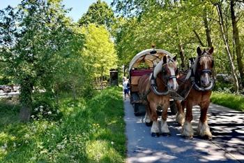 Kutschfahrt abseits von Wetteren