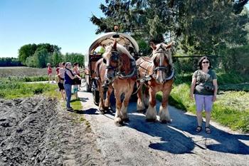 Kutschfahrt abseits von Wetteren