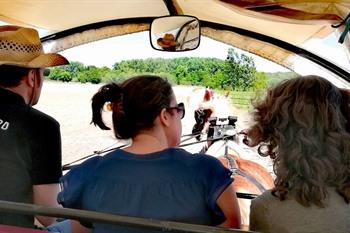 Kutschfahrt abseits von Wetteren