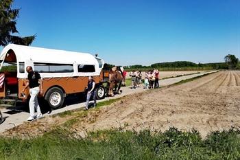 Kutschfahrt abseits von Wetteren