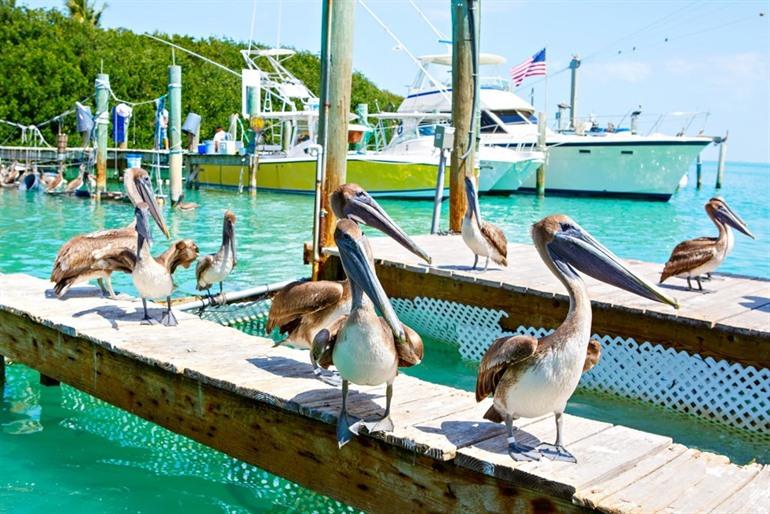 Islamorada Keys