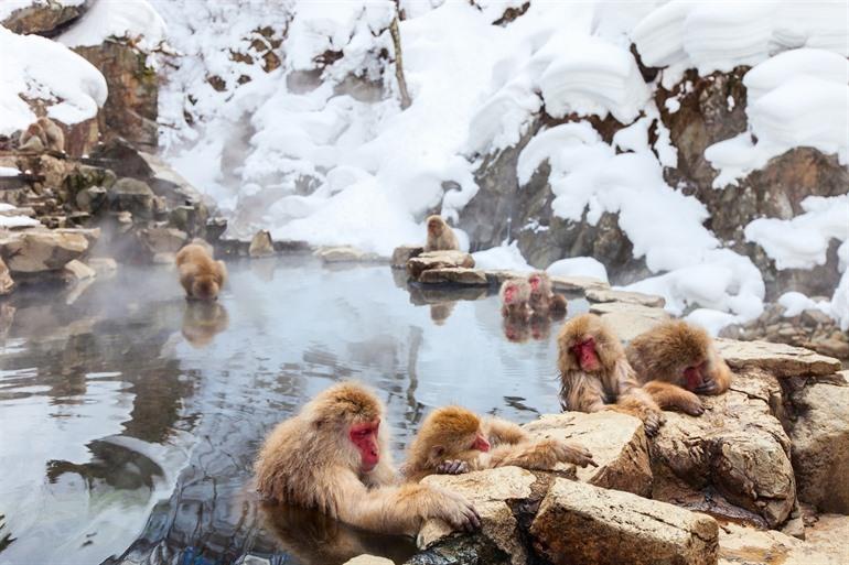 Japanische Schneemännchen