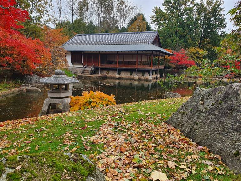 Japanischer Garten Hasselt