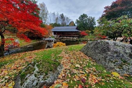 Japanischer Garten in Hasselt besuchen