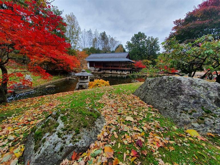 Japanischer Garten in Hasselt besuchen
