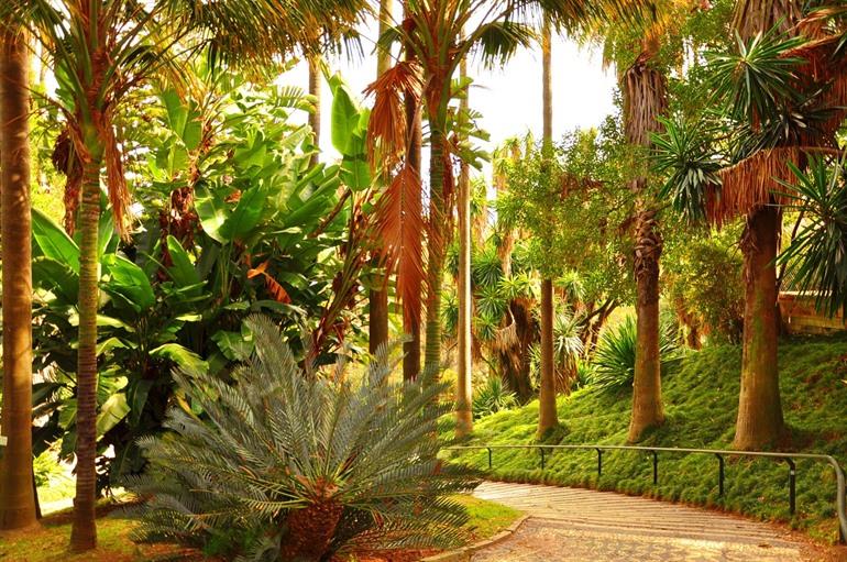 Tropischer Botanischer Garten Portugal