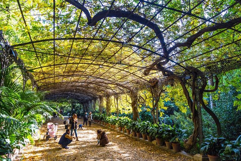 Historischer Botanischer Garten in Málaga