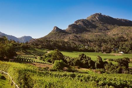 Kap-Weinregionen in Südafrika