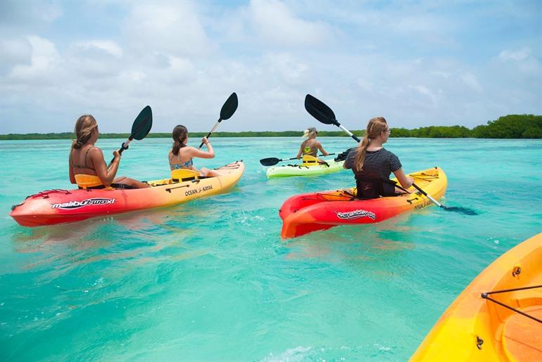 Kajakfahren zwischen den Mangroven auf Bonaire